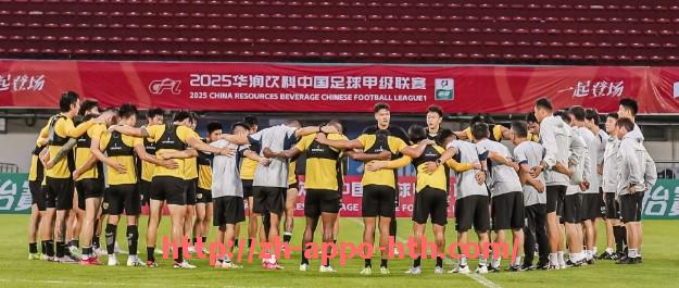 华体会hth官方网站下载-法甲经典帽子戏法全记录:单场三球的历史传奇